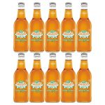 BEEQ BOX - ( Pack of 10) Stewart's Diet Root Beer， 12 fl oz Glass bottles